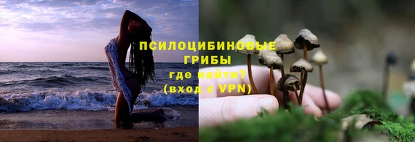 сатива Майский