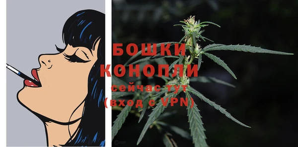скорость Ладушкин