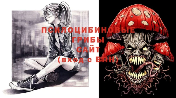 тгк Лиски